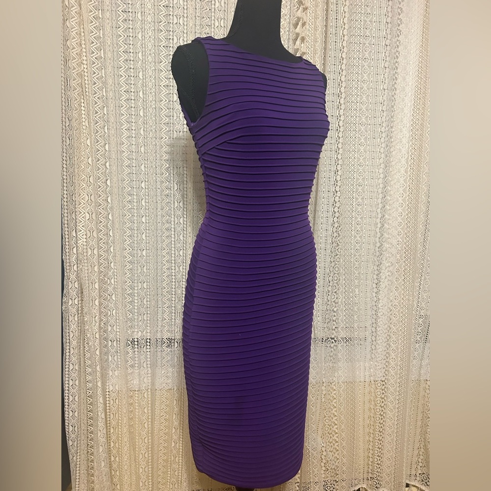 Cache Dress in Rich Purple